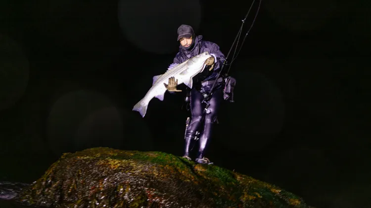 Tyler Harper dons a wetsuit, often during storms, and heads out into the turbulent surf to fish for striped bass in the secretive sport known as "wetsuiting."