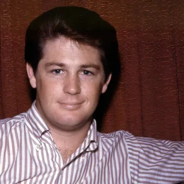 The Beach Boys' co-founder, songwriter and producer transformed pop music into high art and became America's answer to The Beatles' Lennon and McCartney in the process.