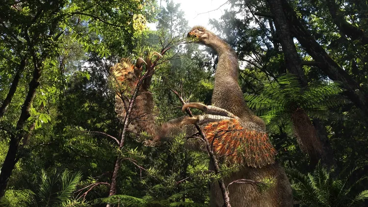 Duonychus tsogtbaatari is a newly discovered plant-eater that roamed Earth tens of millions of years ago. It had a long neck, two legs, and two massive claws.